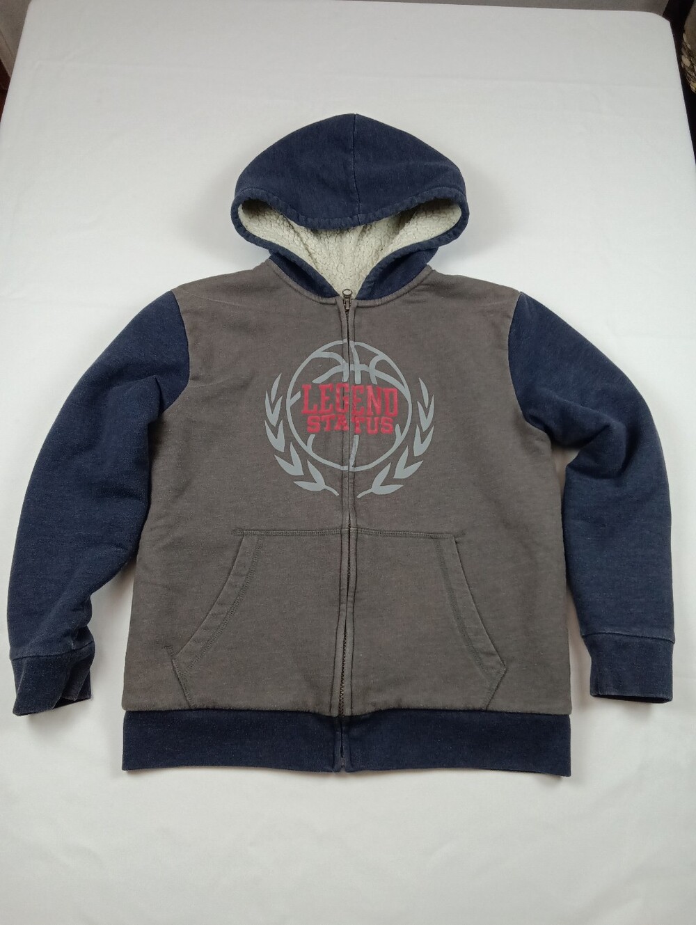 ​The Children's Place Boys Legend Status Sherpa Lined Zip Hoodie Size L 10/12